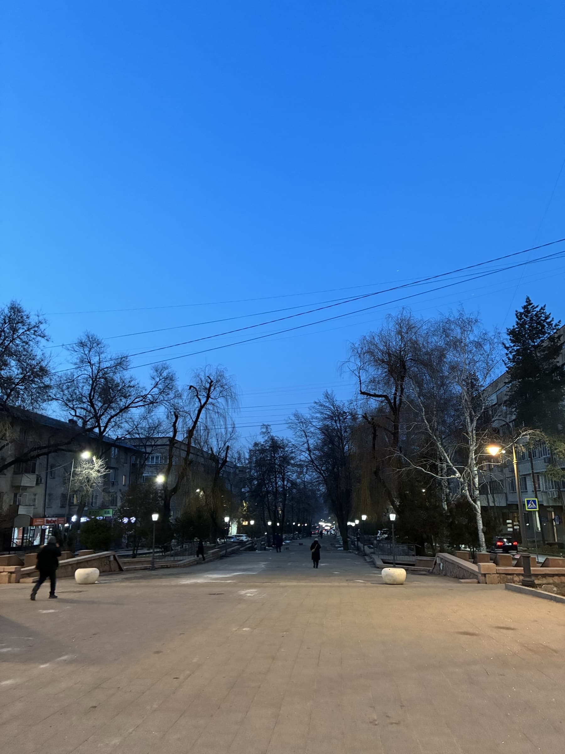 Зимняя улица Алматы вечером
