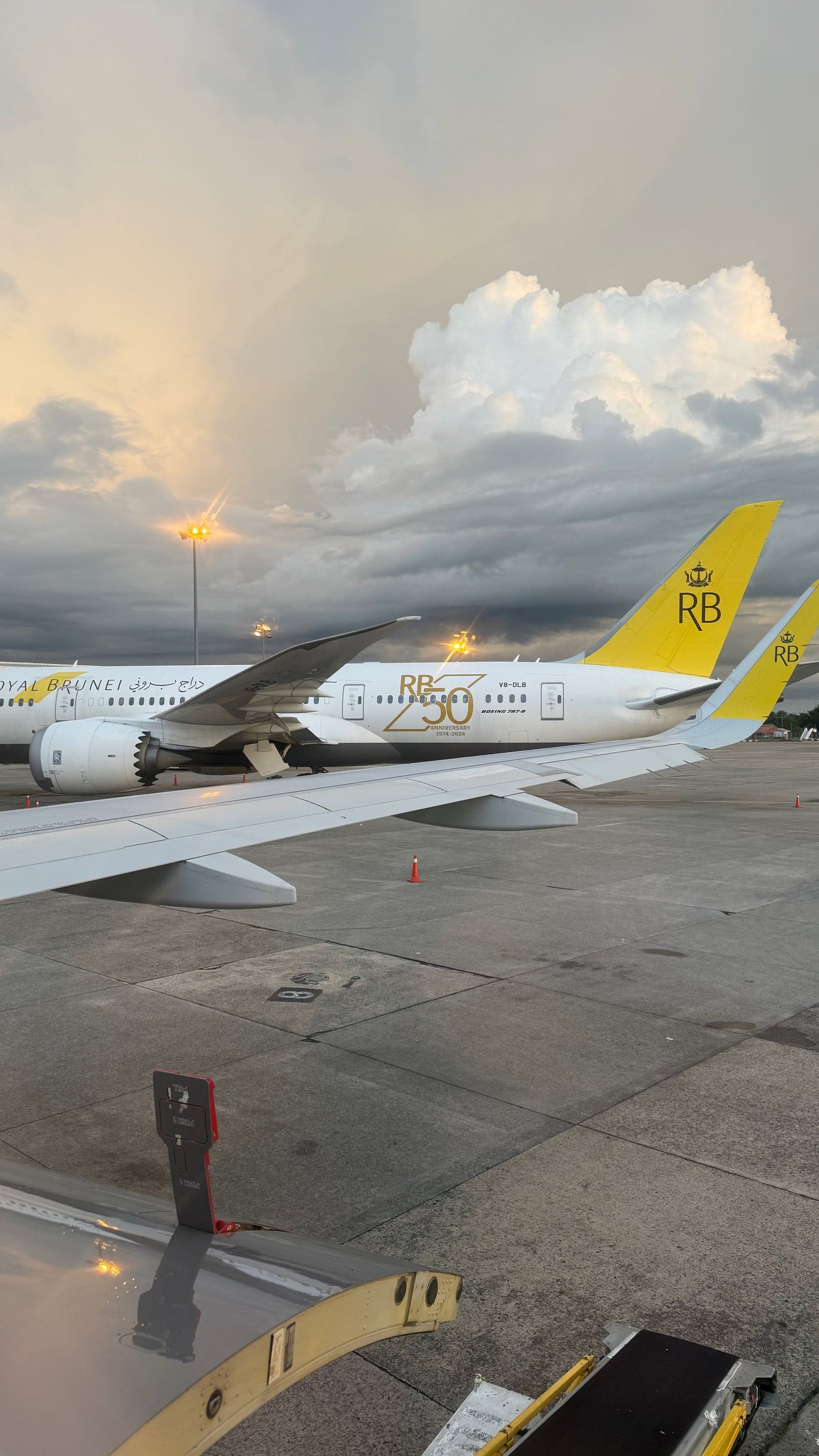 Крыло самолёта Royal Brunei