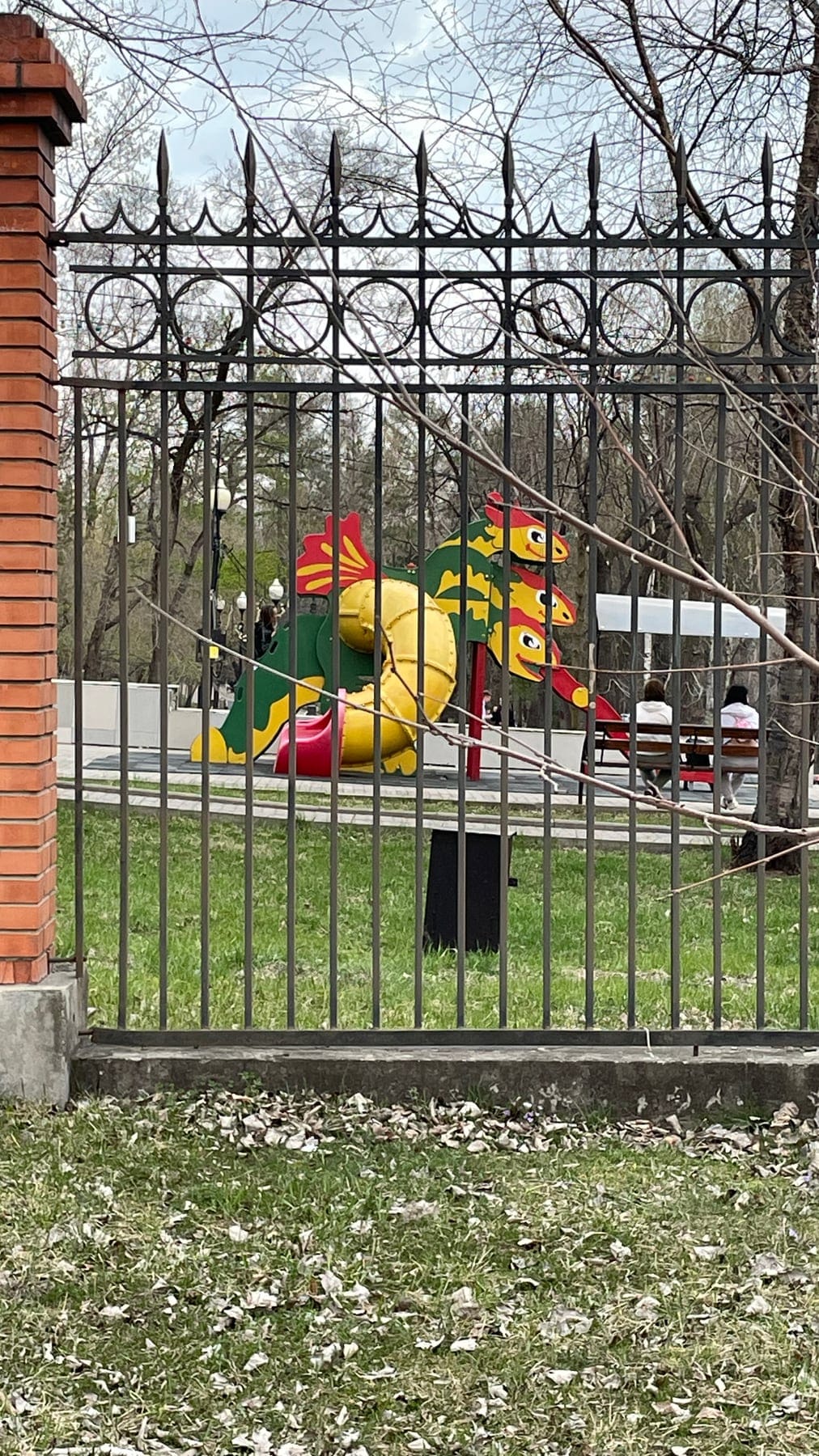 Цветная площадка в Хабаровске