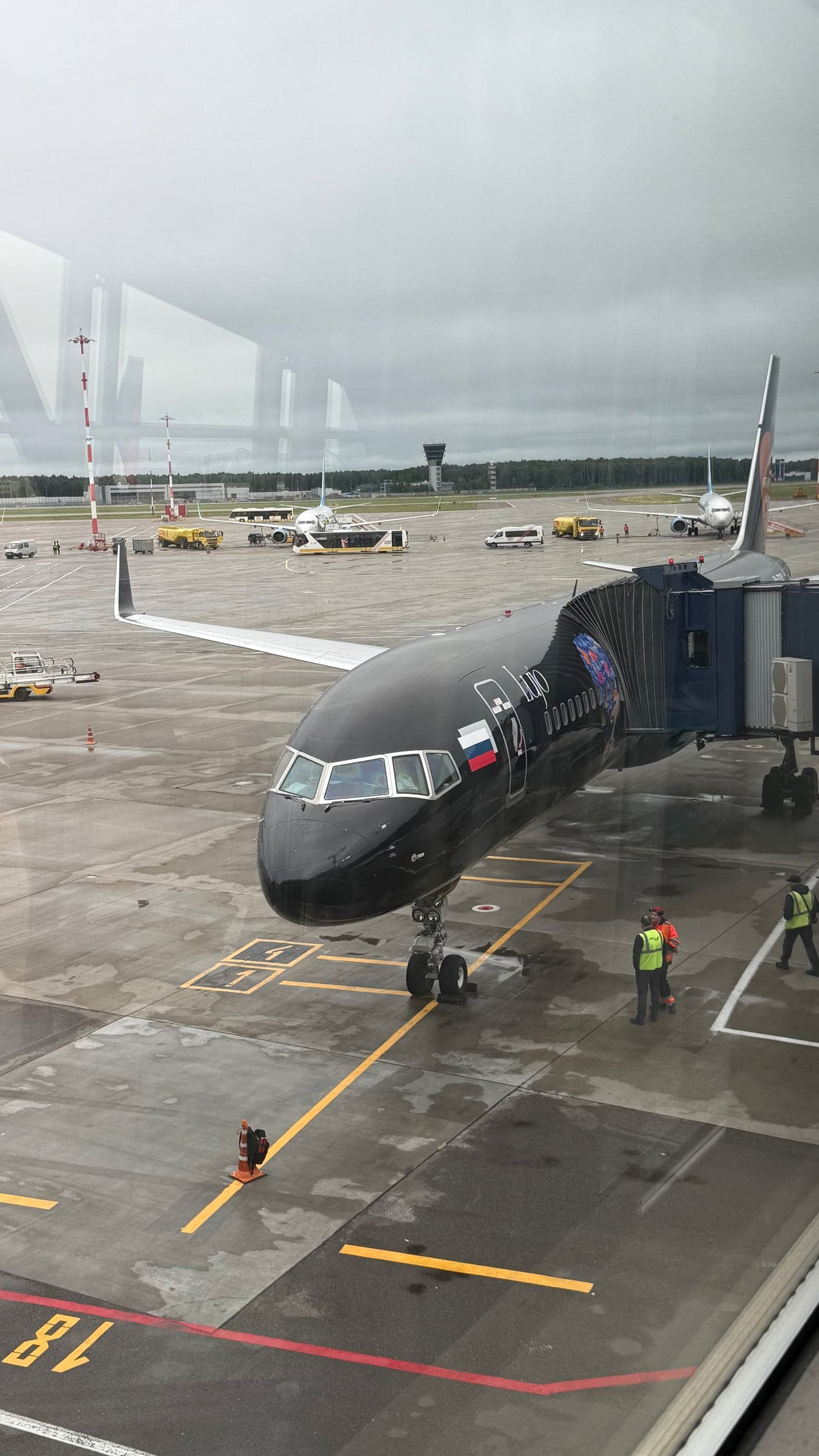 Самолёт Lujo Black Jet у телетрапа во Внуково