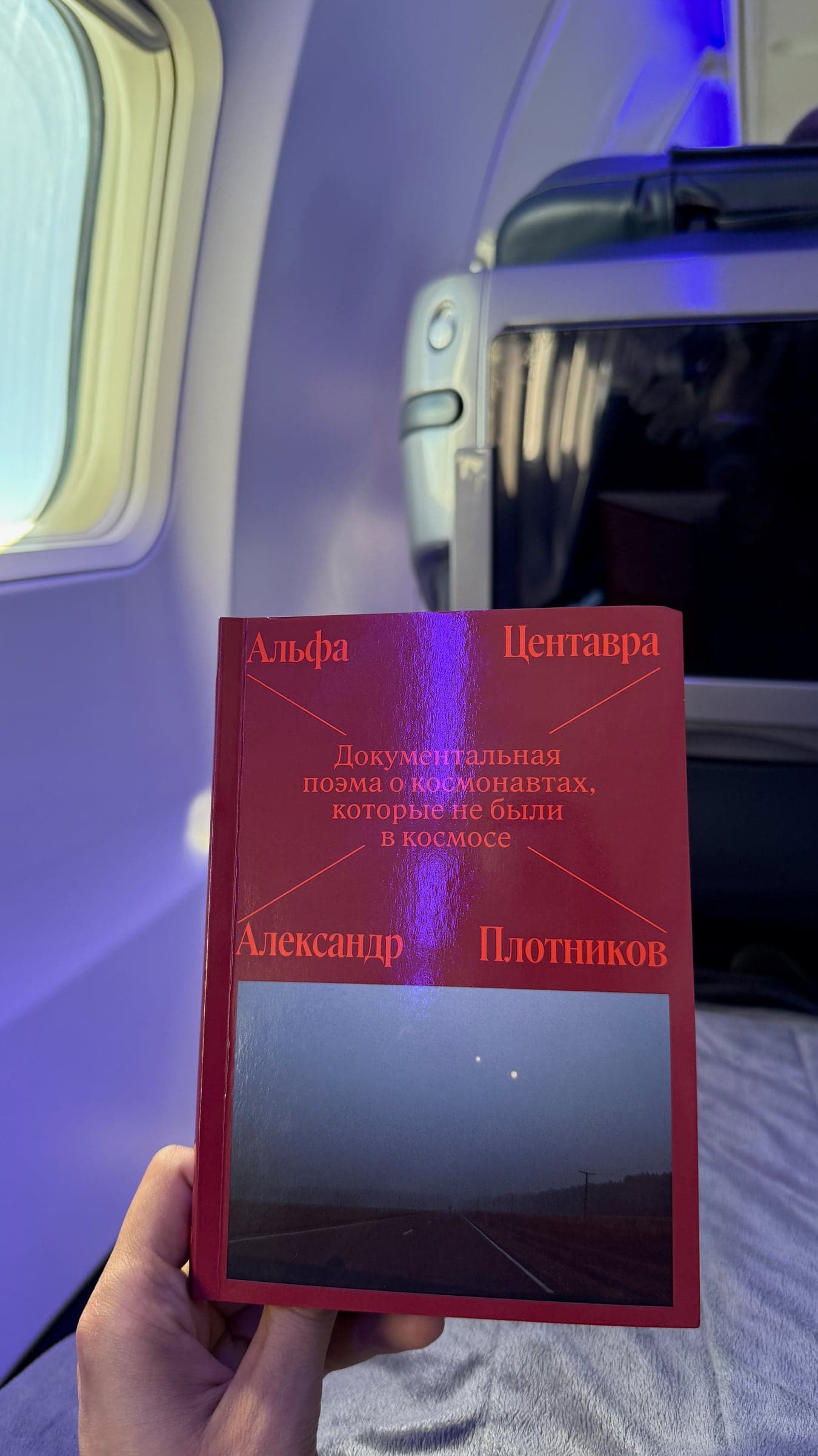 Красное меню у окна самолёта