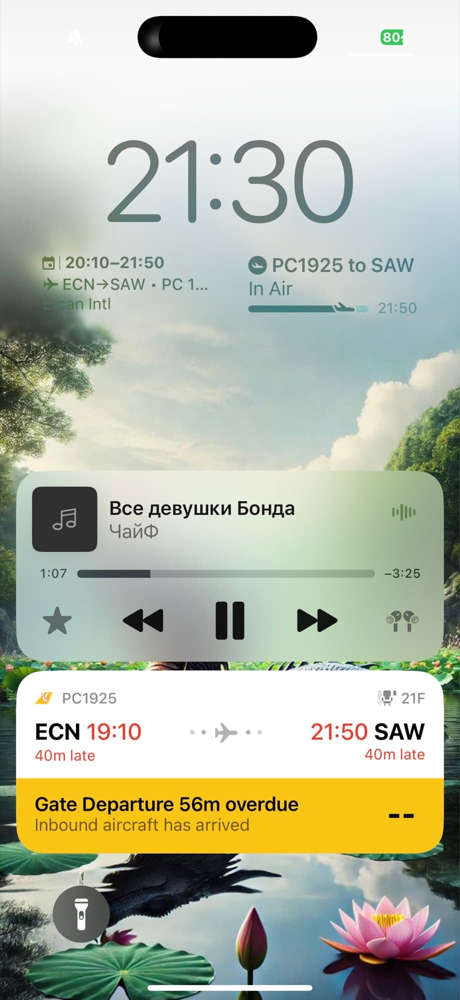 Экран с задержкой рейса