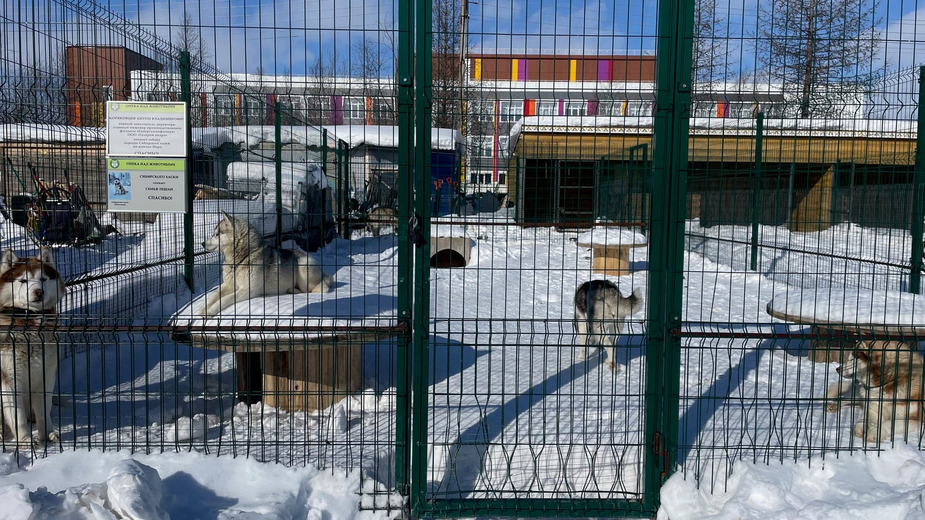 Птицы на детской экологической станции в Новом Уренгое