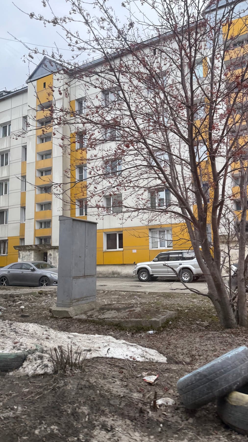 Городское здание на Сахалине в 2025 году