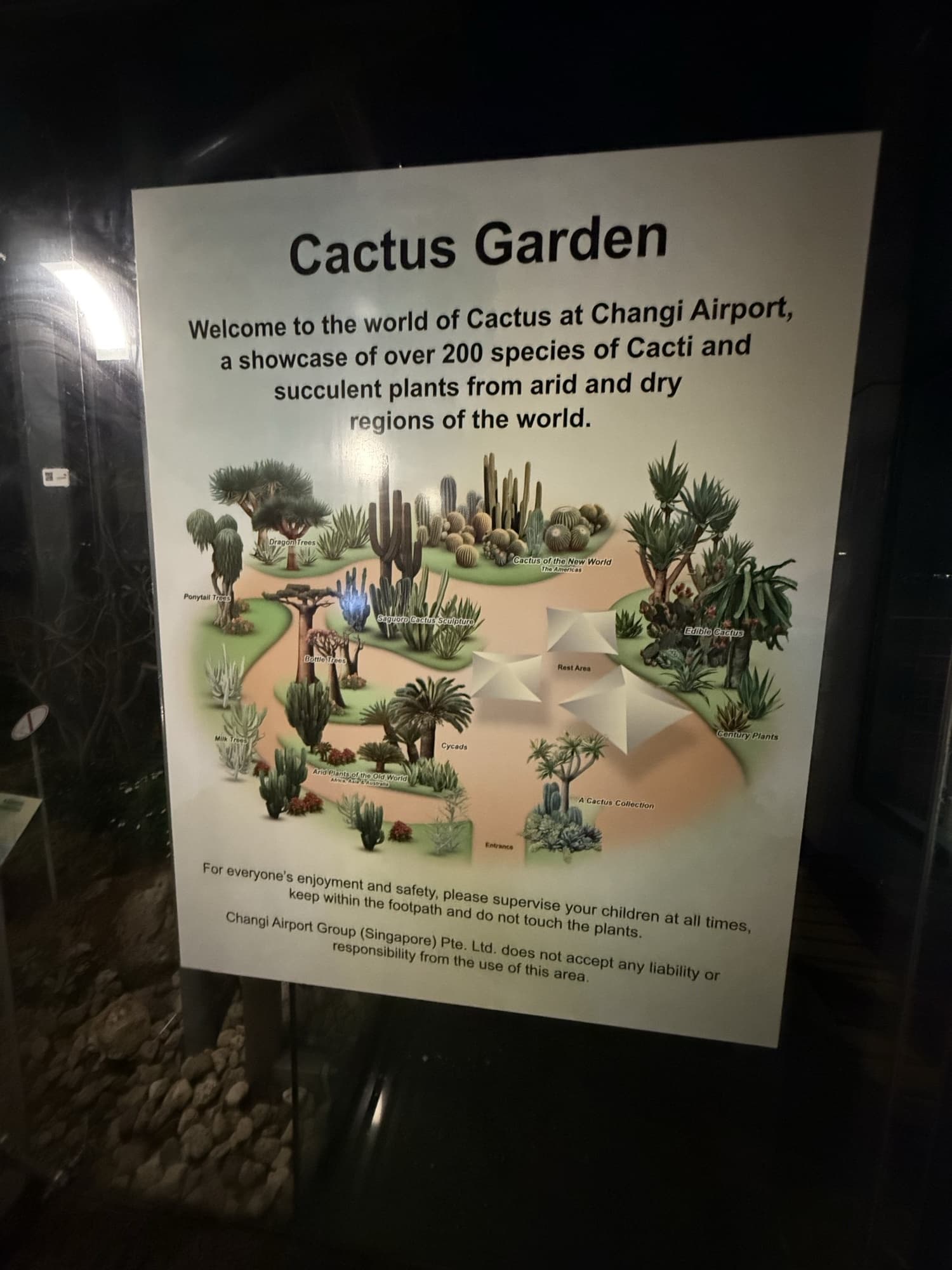 Табличка Cactus Garden в Чанги