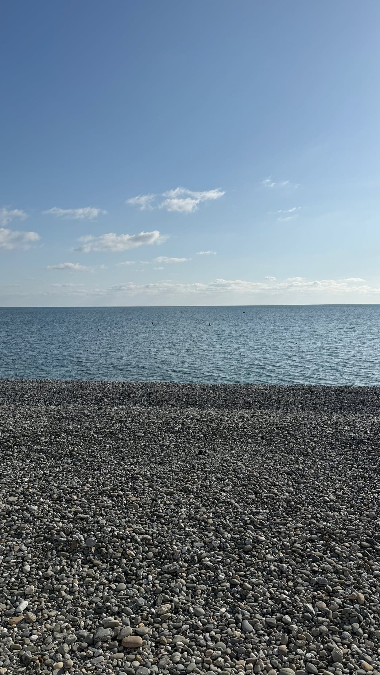 Холодное море и галечный берег