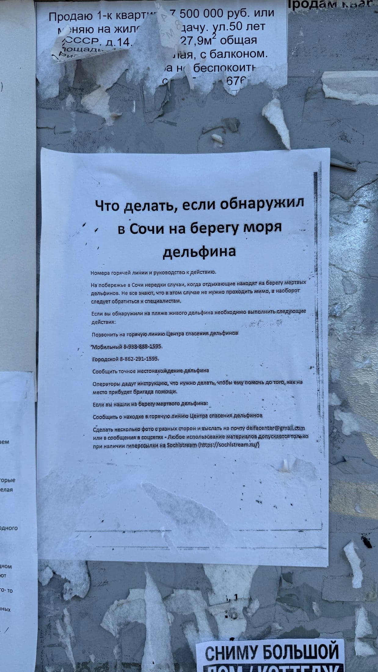Предупреждающая табличка на лесной тропе