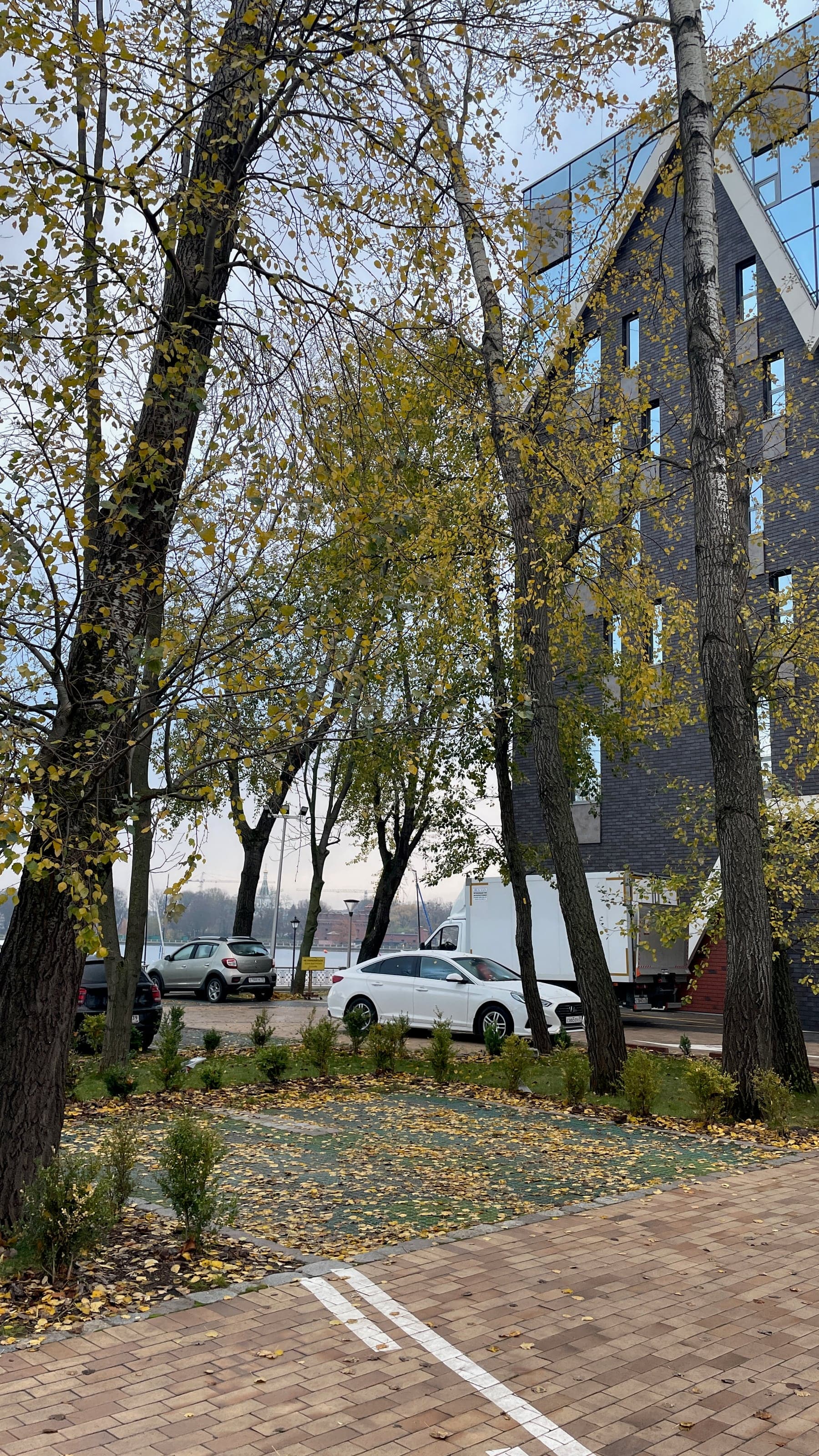 Осенняя улица в Калининграде